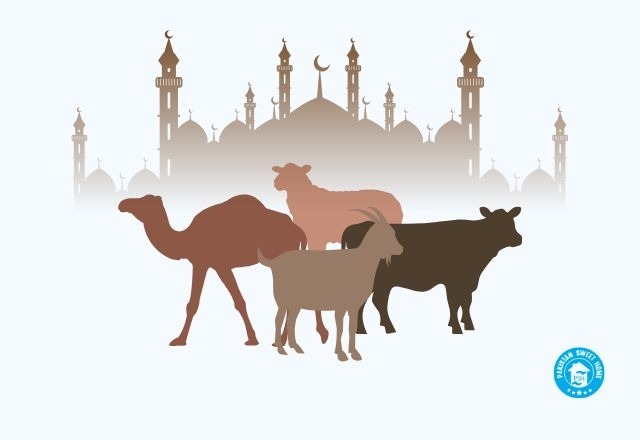 দুই ভাই মিলে সাত ভাগের মাঝে এক নামে এক ভাগে শরীক হলে কুরবানী হবে কি? 1 qurbani in islam 677784a8d8b8c