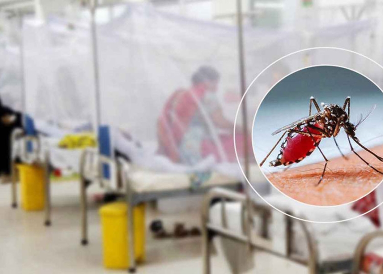 ডেঙ্গুতে আরো ২ জনের মৃত্যু, হাসপাতালে ১৫৯ 1 5784DD11 8844 490F 84F7 28228CC3076B