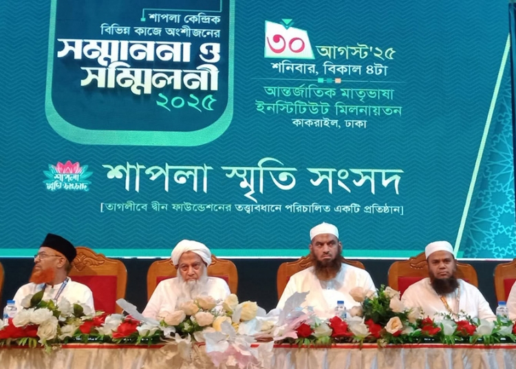 শাপলার চেতনা আগামীর বাংলাদেশের মাইলফলক : মামুনুল হক 1 0E4B48F5 2261 4EA3 93D1 D858884DEEE2