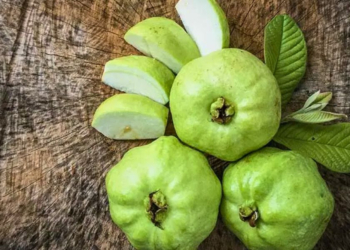 শীতে পেয়ারা খেলে মিলবে যেসব উপকার 6 854F5D88 6B8C 4E8B A488 4B84E0ECB7BA