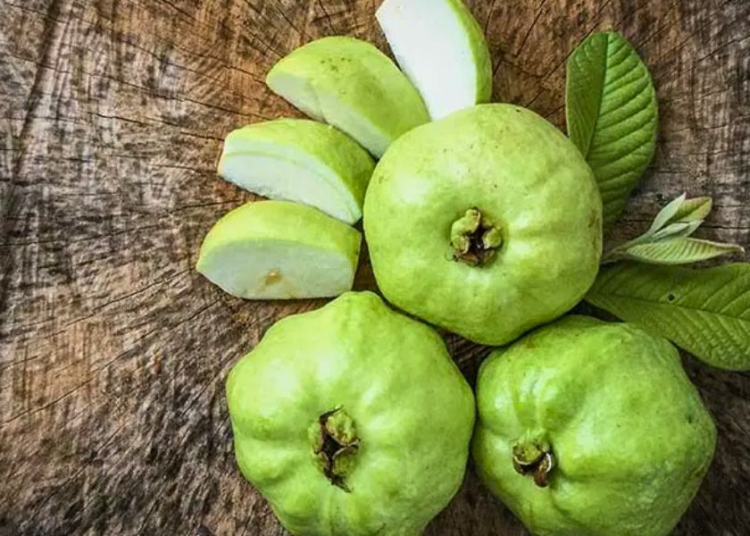 শীতে পেয়ারা খেলে মিলবে যেসব উপকার 1 854F5D88 6B8C 4E8B A488 4B84E0ECB7BA