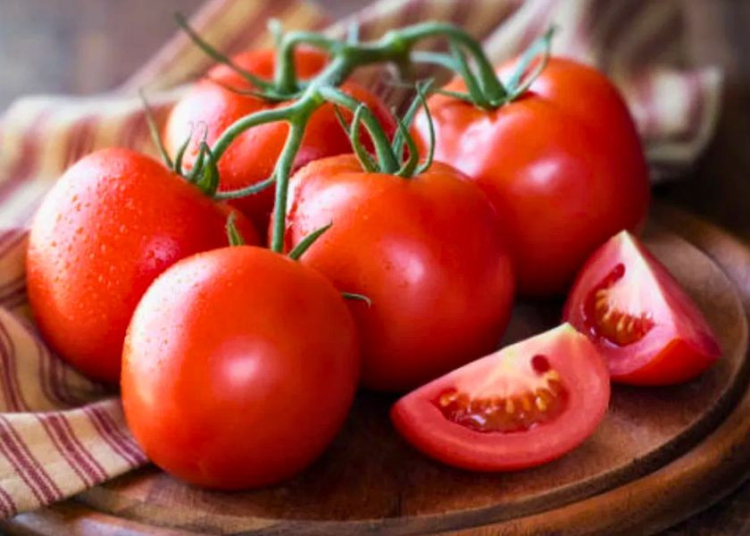 টমেটো কাদের জন্য ক্ষতিকর হতে পারে 1 D34657A0 378F 4644 95FE 00D1AC81802A