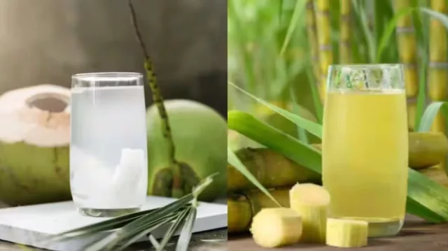 ডাবের পানি নাকি আখের রস, ইফতারে কোনটি বেশি স্বাস্থ্যকর? 1 42d8997755da986e882a218cd811e75b 699ef3074f71f