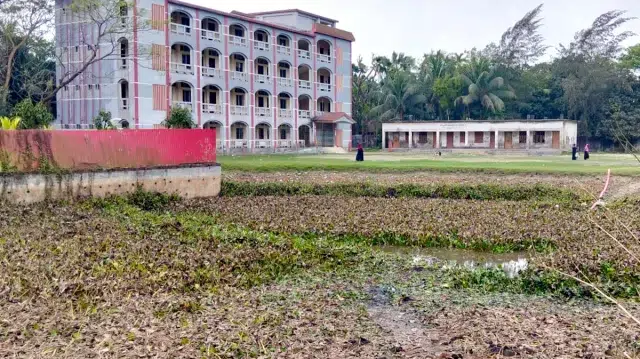 পুকুর সেচতে গিয়ে মিলল অজ্ঞাত ব্যক্তির অর্ধগলিত মরদেহ 1 3ee411490cf8d28d3e4dbaeb2963b25d 69b3cff19e422