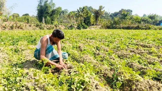 হালদা বাঁচাতে তামাক ছেড়ে বিপাকে কৃষক 1 404fd695c8aad740acddb9280b0b40fc 69b9c65c6e7b4