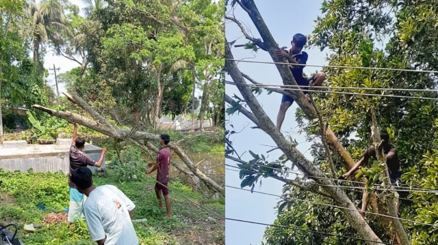 হঠাৎ ঝড়ে লন্ডভন্ড চাঁদপুরের ২৫ গ্রাম, বিদ্যুৎবিচ্ছিন্ন লাখো মানুষ 1 c0bdf0bb13665413588f062b5fabd6ee 69c53b6033b73
