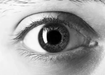 গ্লুকোমা রোগীর জীবনযাপন ওষুধের সময়সূচি এবং মানসিক প্রস্তুতি 4 news 1773373631404