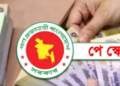 পে স্কেলে বিশেষ ভাতা নিয়ে সুখবর 15 7f10b7435e32e8c49719cb3bd7ba4ee9 6a01600399f1b