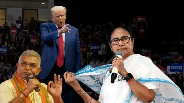 মমতা হচ্ছেন শাড়ি পরা ট্রাম্প’- পদত্যাগ করতে না চাওয়ায় দিলীপের কটাক্ষ 1 f494e856252c6bc9562ae53f480de372 69fac02145fc1
