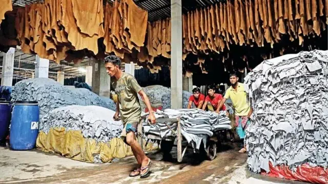 বর্জ্য পরিশোধনাগারের অভাবে চামড়া রপ্তানিতে ধস 1 f543e7bd4eaf6b3e7f077215f5e5d264 69f7bf895709b