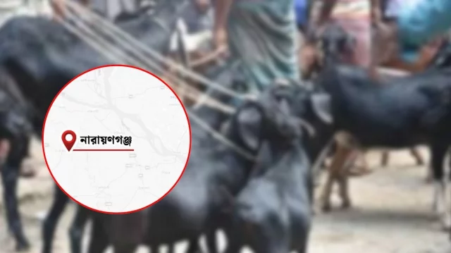গলায় নল ঢুকিয়ে পানি খাওয়াতে গিয়ে ছাগলের মৃত্যু, গ্রেপ্তার ২ 1 79d4d7b5565a906bbb8e172379e9bfb4 6a4140394a539