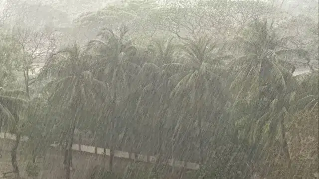 দুপুরের মধ্যে ১১ জেলায় ঝোড়ো হাওয়ার আভাস, কমতে পারে তাপমাত্রা 1 f2e0f395f4aa952a0aee5a47d1608f17 6a2c54a26fbed