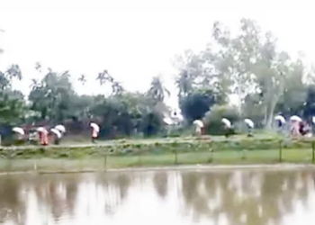 কুড়িগ্রামের ডিলারের গুদাম ভেঙে ১৯৭ বস্তা সার নিয়ে গেলেন কৃষকেরা 3 aa918d9d615cef2ba9b58994fd6378b4 6a8aeaba403be