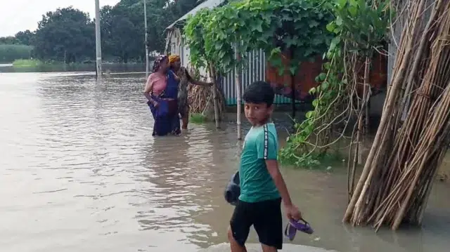 পদ্মার চরাঞ্চলে বন্যা: পানিবন্দী মানুষ, সরিয়ে নিচ্ছেন বাড়িঘর 1 3247a023eefbcb3308101a0d1ac8d516 6aa41e37b1e54
