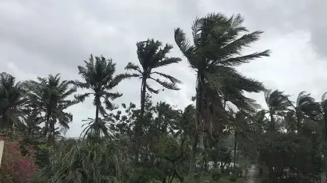 বঙ্গোপসাগরে গভীর নিম্নচাপ: উপকূলীয় অঞ্চলে ঝড়ো হাওয়ার আভাস 1 9bf22e0d4d7d8db388b45237cb11370e 6ab3dfa22b9b2