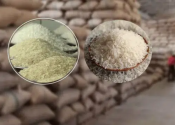 কেজিতে ৩ টাকা পর্যন্ত বাড়ল চালের দাম, উচ্চমূল্যে স্থিতিশীল ডিম-মুরগি 4 6c3b2aa18b7d6f68bac3bae9be8fac65 6ac85028b5a42