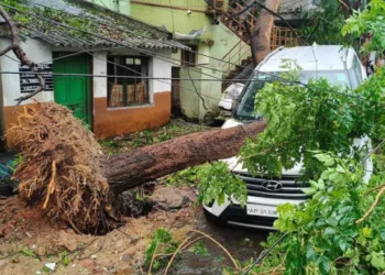 ঘূর্ণিঝড় অর্ণবের তাণ্ডবে ভারতের অন্ধ্র প্রদেশে পাঁচ জনের মৃত্যু 2 9f82c26c53e627f749ae255077630963 6ae257a44d1d8